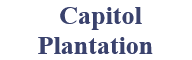 Capitol Plantation
